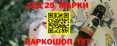 ПСИЛОЦИБИНОВЫЕ ГРИБЫ Кулебаки