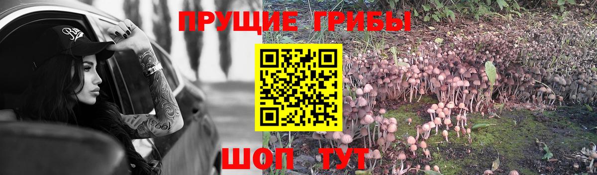 Гашиш  Меф кристаллы  Вход с VPN  Каннабис  Камень-на-Оби  Экстази  Где купить наркотики?  Кокаин 